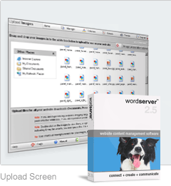 Upload your images to your wordserver web site with ease - simply drag and drop or copy and paste your images in to the upload screen and they will be ready to use in your web site page editor. You can also upload files too, such as PDFs, Word Documents, Powerpoint Presentations and Video and Audio files too!
