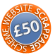 wordsever website scrappage scheme > trade in your old website for a �50 discount